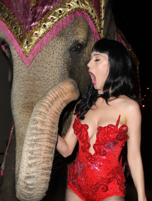 photo 4 in Katy Perry gallery [id422768] 2011-09-27 00:00:00