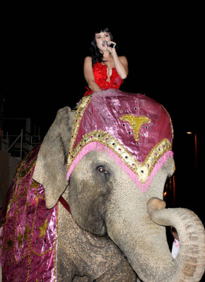 photo 12 in Katy Perry gallery [id422728] 2011-09-27 00:00:00