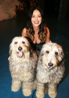 Katy Perry pic #827083