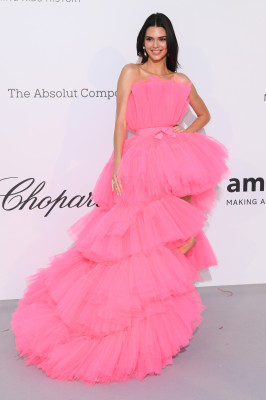 Kendall Jenner – amfAR Cannes Gala 2019