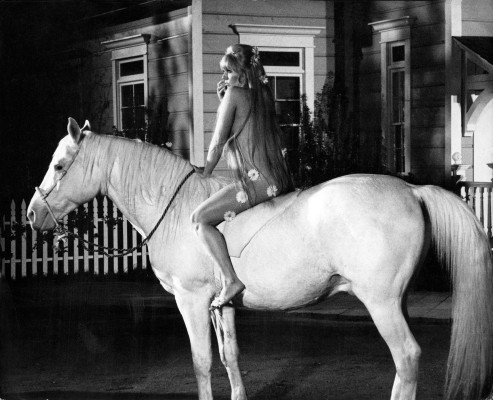 Kim Novak pic #371885