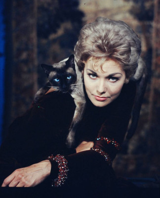 Kim Novak pic #371886