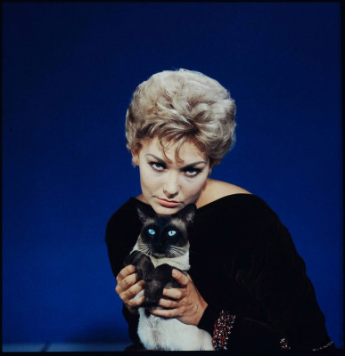 Kim Novak pic #279600