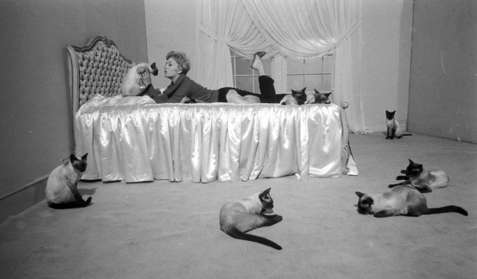 photo 29 in Kim Novak gallery [id449138] 2011-12-23 00:00:00