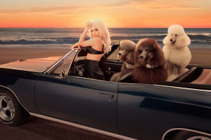 KIM PETRAS for Malibu Single, 2020