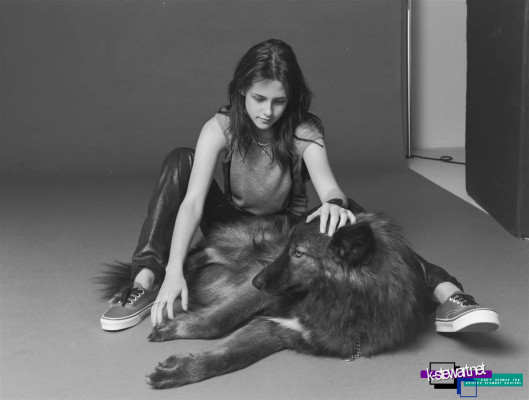 Kristen Stewart pic #177382