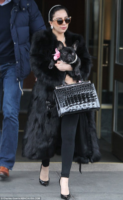Lady Gaga pic #783077