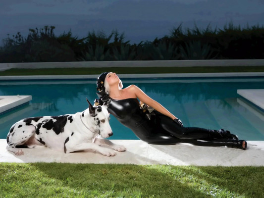 Lady Gaga pic #425782