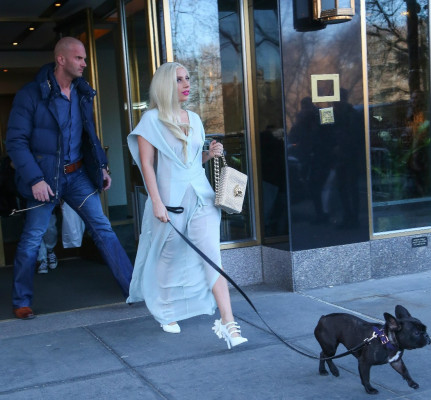 Lady Gaga pic #795668