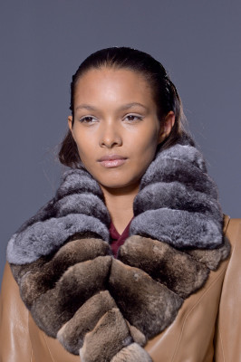 Lais Ribeiro pic #660966