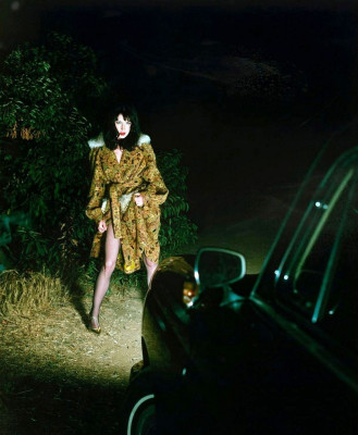 photo 23 in Boyle gallery [id321578] 2010-12-06 00:00:00