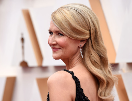 Laura Dern - 92nd Annual Academy Awards in Los Angeles (Arrival) / 09.02.2020