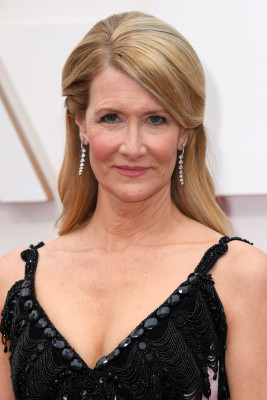 Laura Dern - 92nd Annual Academy Awards in Los Angeles (Arrival) / 09.02.2020