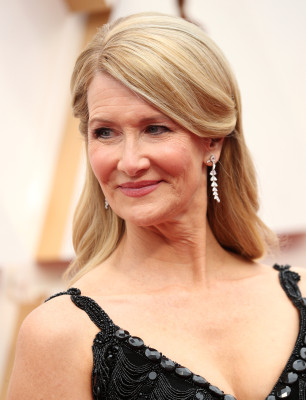 Laura Dern - 92nd Annual Academy Awards in Los Angeles (Arrival) / 09.02.2020