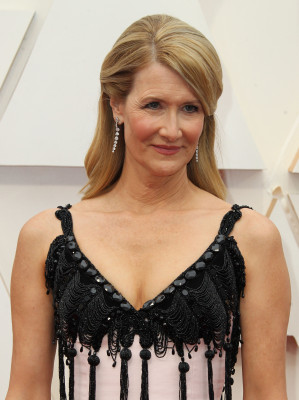 Laura Dern - 92nd Annual Academy Awards in Los Angeles (Arrival) / 09.02.2020