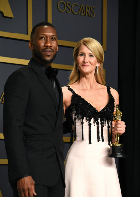 Laura Dern - 92nd Annual Academy Awards in Los Angeles (Press Room) / 09.02.2020