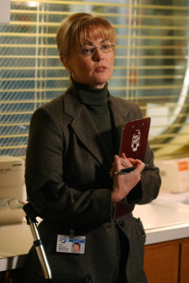 Laura Innes pic #319981