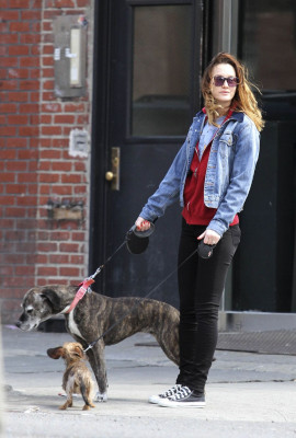 Leighton Meester pic #720553
