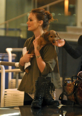 Leighton Meester pic #622887