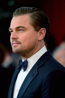 Leonardo DiCaprio pic #864959