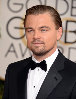 Leonardo DiCaprio pic #858267