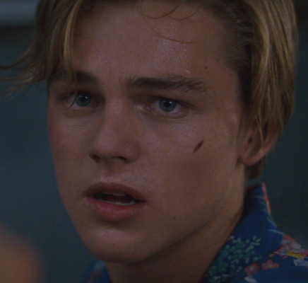Leonardo DiCaprio pic #575598