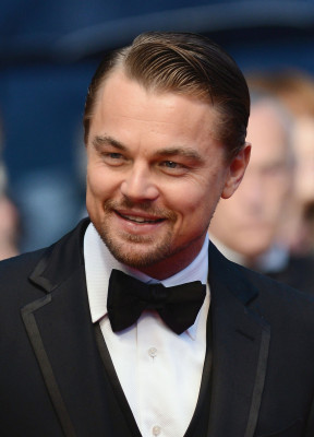 Leonardo DiCaprio pic #879751