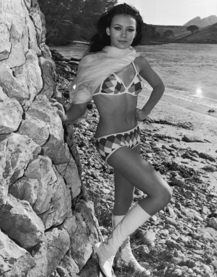photo 14 in Lesley-Anne Down gallery [id366518] 2011-03-01 00:00:00