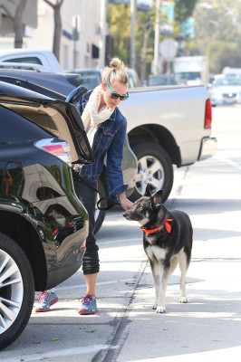 Leslie Bibb pic #579872