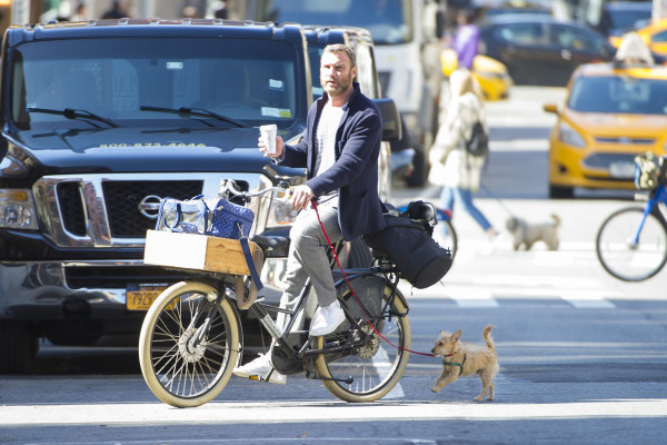 Liev Schreiber pic #1066159