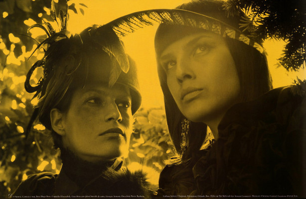 Liliana Dominquez pic #41233