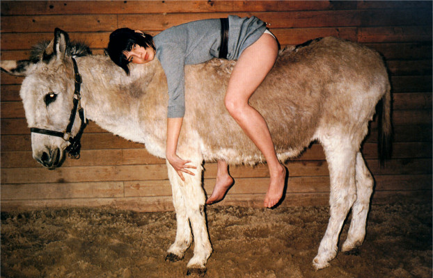 photo 22 in Dominquez gallery [id63240] -0001-11-30 00:00:00