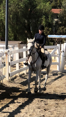 photo 8 in Kruk gallery [id1096180] 2018-08-31 00:00:00