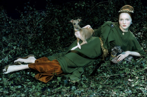 Lily Cole pic #262461