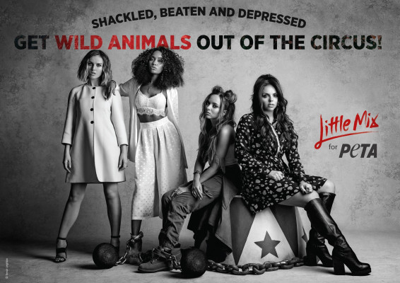 Little Mix pic #1215318