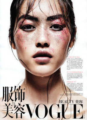 photo 24 in Liu Wen gallery [id324535] 2010-12-13 00:00:00