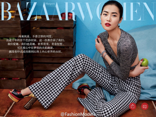 photo 3 in Liu Wen gallery [id869488] 2016-02-23 00:00:00