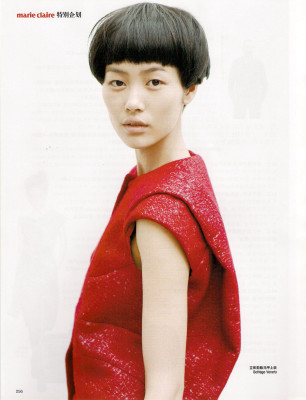 photo 15 in Liu Wen gallery [id321507] 2010-12-06 00:00:00