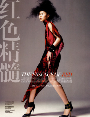 photo 15 in Liu Wen gallery [id326334] 2010-12-14 00:00:00