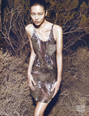 photo 9 in Liu Wen gallery [id323962] 2010-12-13 00:00:00