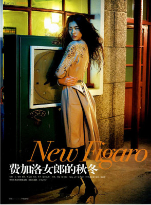 Liu Wen pic #342516