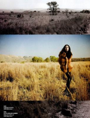Liu Wen pic #347686