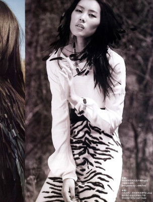 Liu Wen pic #347693