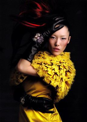 photo 21 in Liu Wen gallery [id333202] 2011-01-01 00:00:00