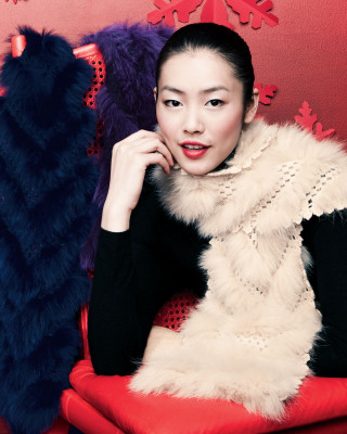 photo 29 in Liu Wen gallery [id247126] 2010-02-27 00:00:00
