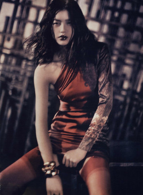 photo 24 in Liu Wen gallery [id332874] 2010-12-30 00:00:00