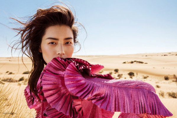 Liu Wen pic #946302