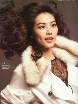 photo 22 in Liu Wen gallery [id348995] 2011-01-28 00:00:00