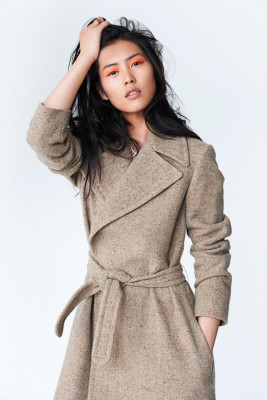 photo 18 in Liu Wen gallery [id675759] 2013-11-05 00:00:00