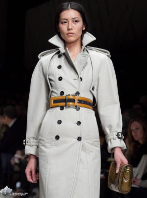 photo 10 in Liu Wen gallery [id364164] 2011-02-25 00:00:00
